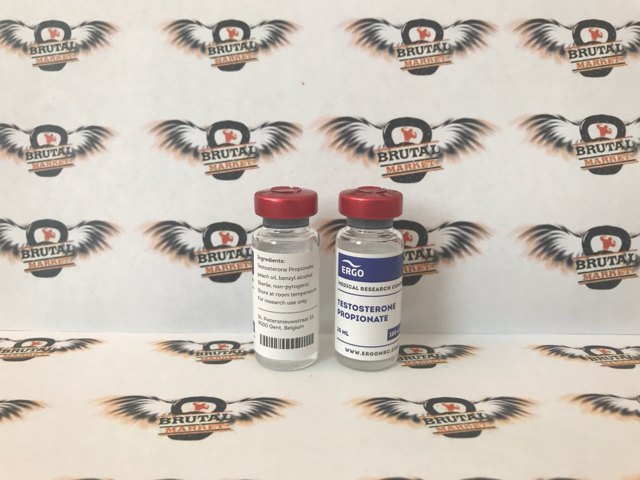 testosterone-propionate-ergo.JPG