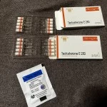 Testosterone E 250 (Olymp Labs) 10 ампул -  250мг\мл