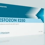 TESTOZON E (Horizon, ПРОСРОЧКА) 10 ампул - 250мг/мл