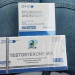 Testosterone Mix (ZPHC NEW) 10 ампул - 250мг/мл