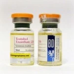 Testabol Enanthate - 250 (British Dragon, original) 10 мл - 250мг/мл