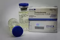 Testosterone Propionate (ZPHC, УЦЕНКА) 10 мл - 100мг\мл