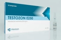 TESTOZON E (Horizon, ПРОСРОЧКА) 10 ампул - 250мг/мл